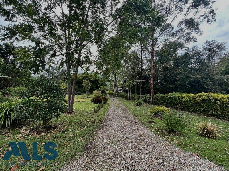 🏡 LOTE EN VENTA UBICADO EN VEREDA LAS HOJAS SAN VICENTE san-vicente - rural