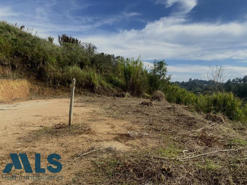 🏡 LOTE EN VENTA UBICADO EN VEREDA LAS HOJAS SAN VICENTE san-vicente - rural