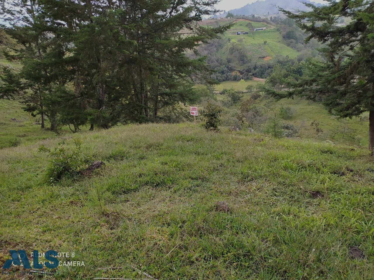 HERMOSO LOTE INDEPENDIENTE EN SAN VICENTE san-vicente - rural