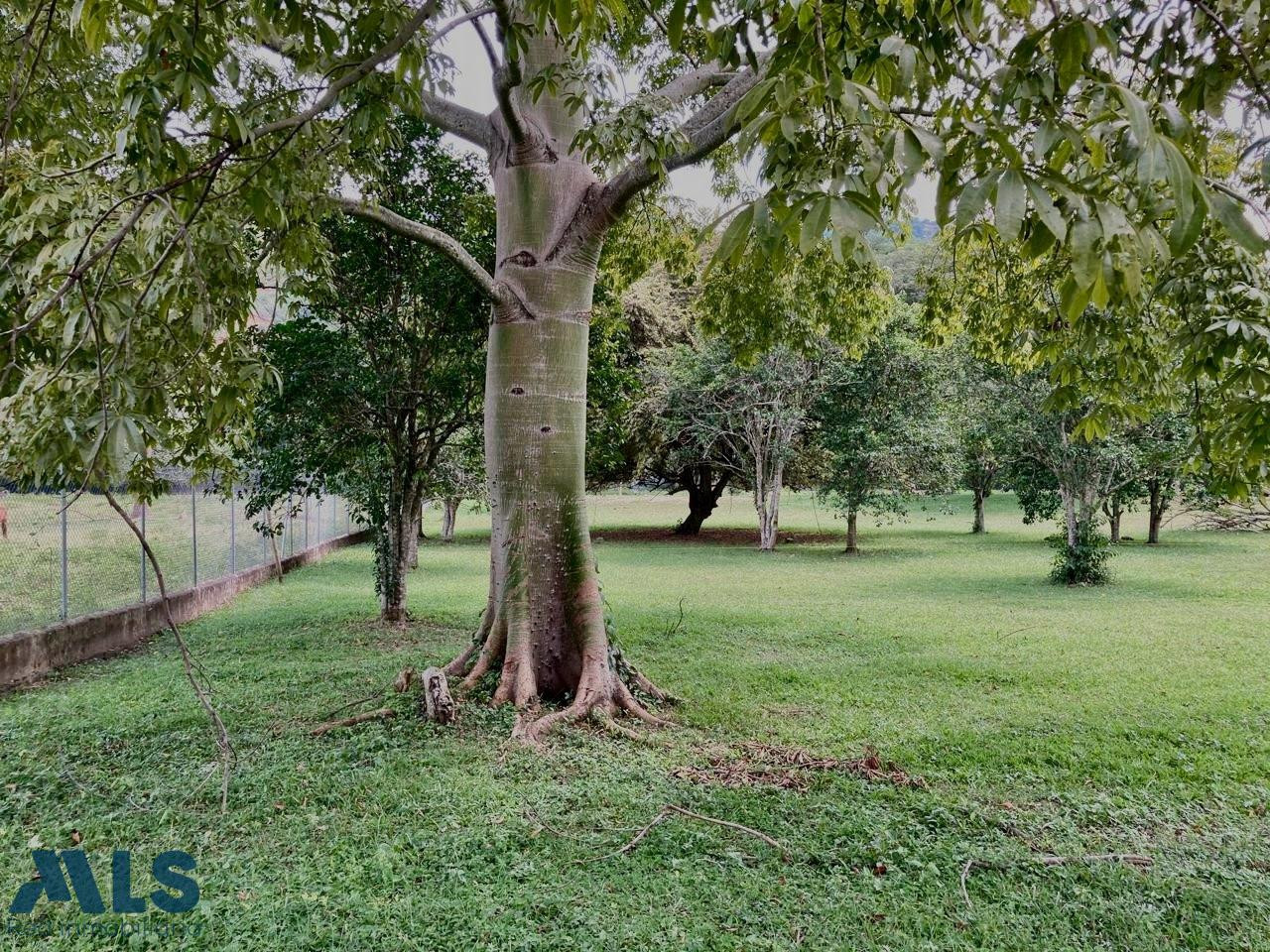 LA INVERSIÓN QUE TE LLEVARÁ A CUMPLIR TU SUEÑO! santa-fe-de-antioquia - v el espinal