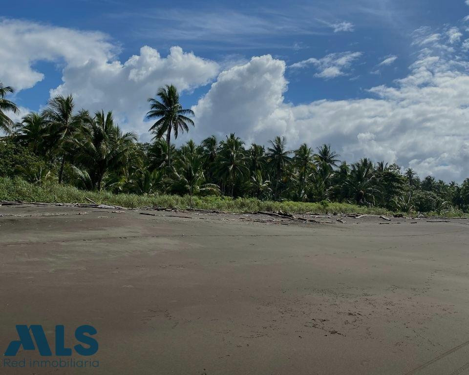 Un paraíso frente al Pacífico choco - bahia solano