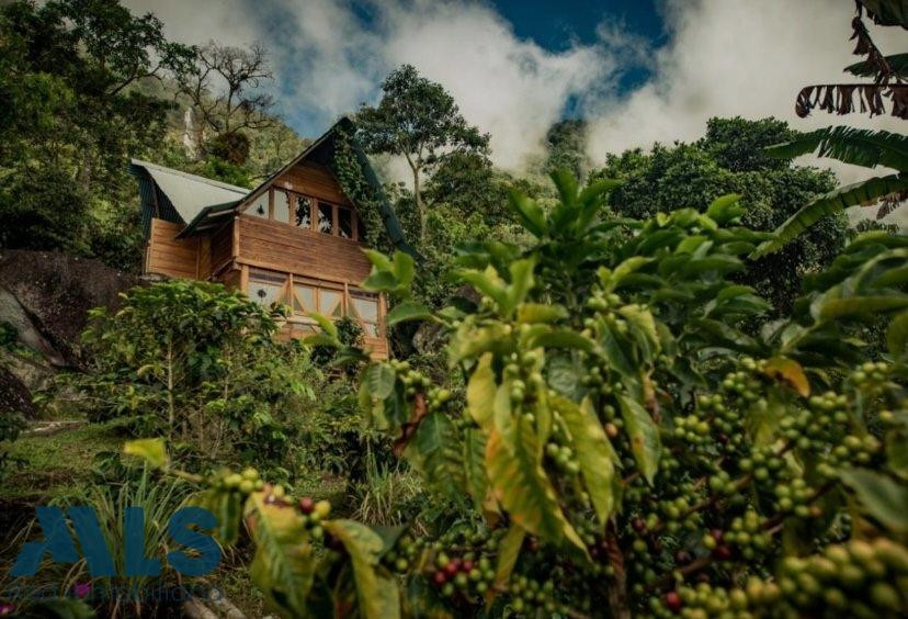 Eco hotel en Támesis tamesis - rural