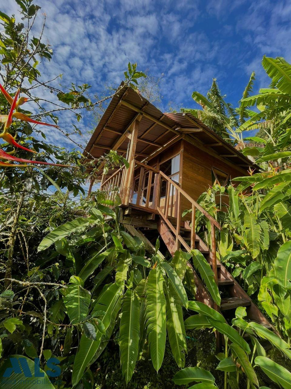 Eco hotel en Támesis tamesis - rural