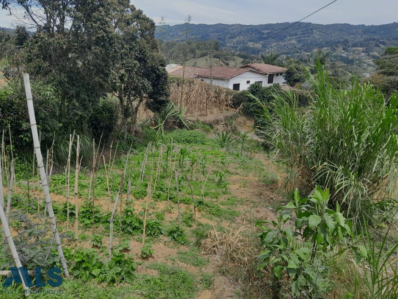 A la venta casa finca en Guarne, Vereda El Salado guarne - rural