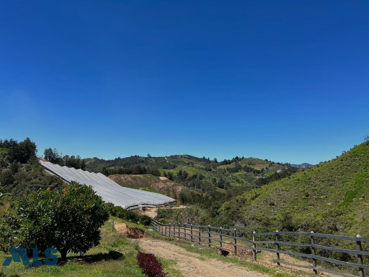 FINCA AGRÍCOLA DE ALTA RENTABILIDAD EN SAN VICENTE – 30 HECTÁREAS san-vicente - rural