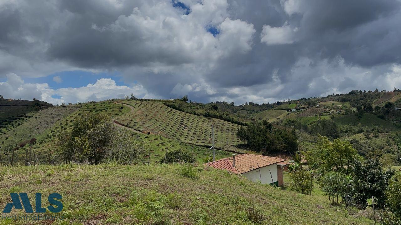 FINCA AGRÍCOLA DE ALTA RENTABILIDAD EN SAN VICENTE – 30 HECTÁREAS san-vicente - rural