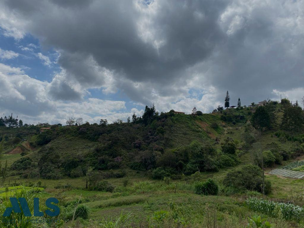 Se vende lote en Rionegro, V. Abreo rionegro - v abreo