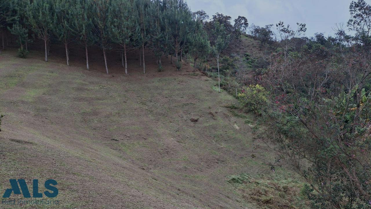 LOTE INDEPENDIENTE PARA VENTA EN SAN VICENTE FERRER san-vicente - rural