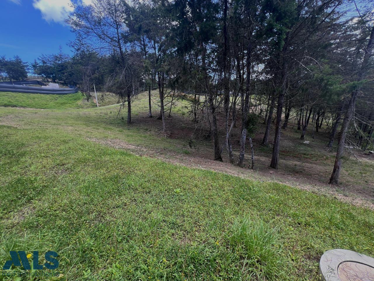 Verde Campiña: el lote donde empieza tu nuevo hogar el-carmen - v quirama