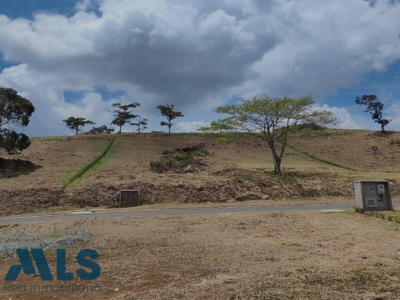 Lote en venta ubicado en La Ceja sector cantarrana la-ceja - urbano la ceja