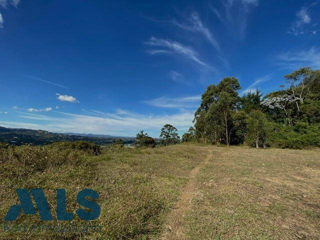 Espectacular lote en Llanogrande de 24.000 mt rionegro - v guayabito