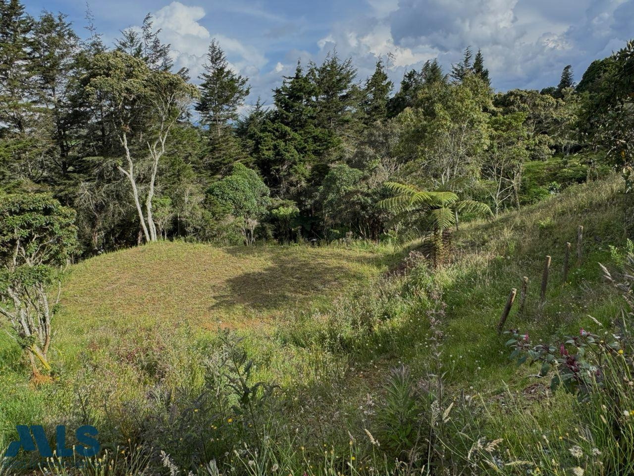 LOTE EN ELALTO DE PALMAS, PANTANILLO, ENVIGADO ANTES DEL PEAJE envigado - alto de las palmas