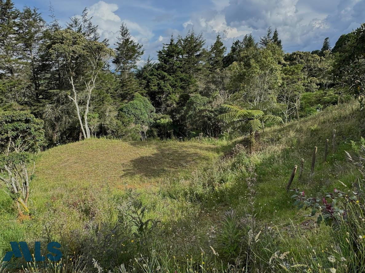 LOTE EN ELALTO DE PALMAS, PANTANILLO, ENVIGADO ANTES DEL PEAJE envigado - alto de las palmas