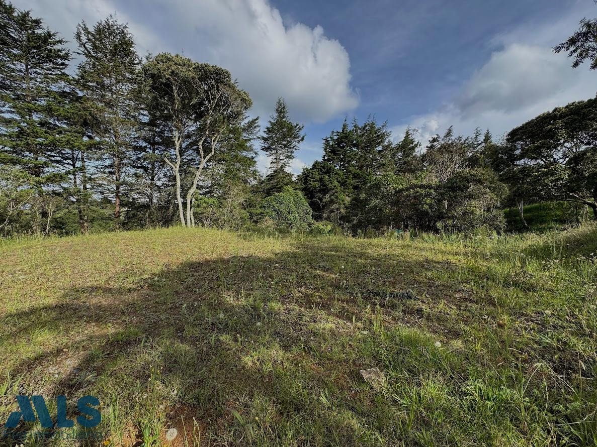 LOTE EN ELALTO DE PALMAS, PANTANILLO, ENVIGADO ANTES DEL PEAJE envigado - alto de las palmas
