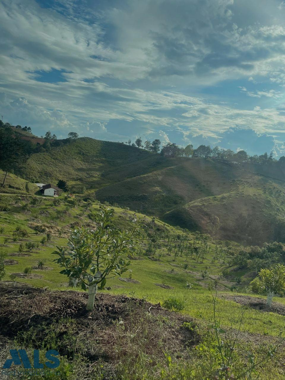 Venta de lote en Rionegro, sector La Porquera rionegro - la porquera