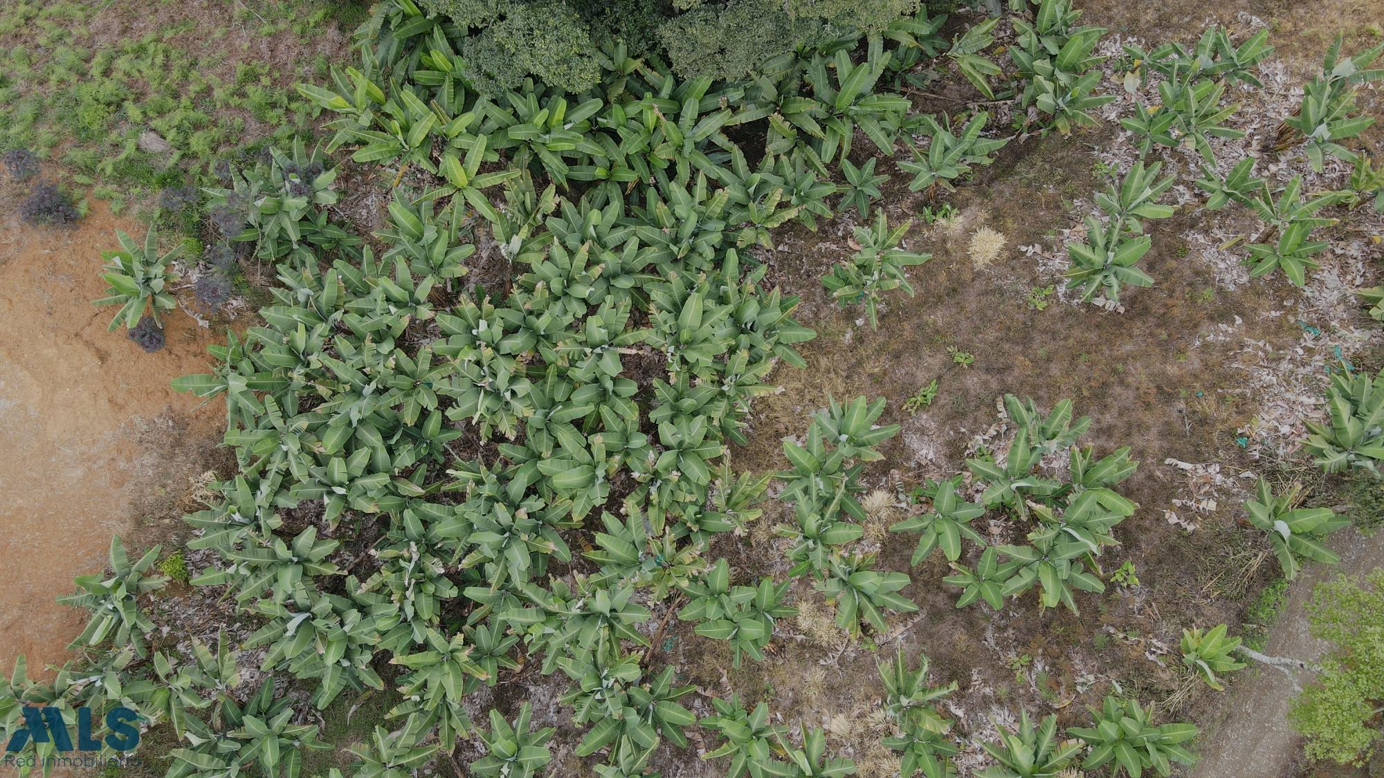 LOTE EN VENTA EN JARDÍN ANTIOQUIA jardin - rural