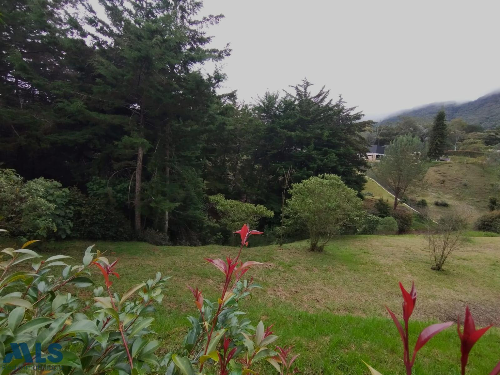 VENTA DE LOTE LA CEJA, ANTIOQUIA la-ceja - urbano la ceja