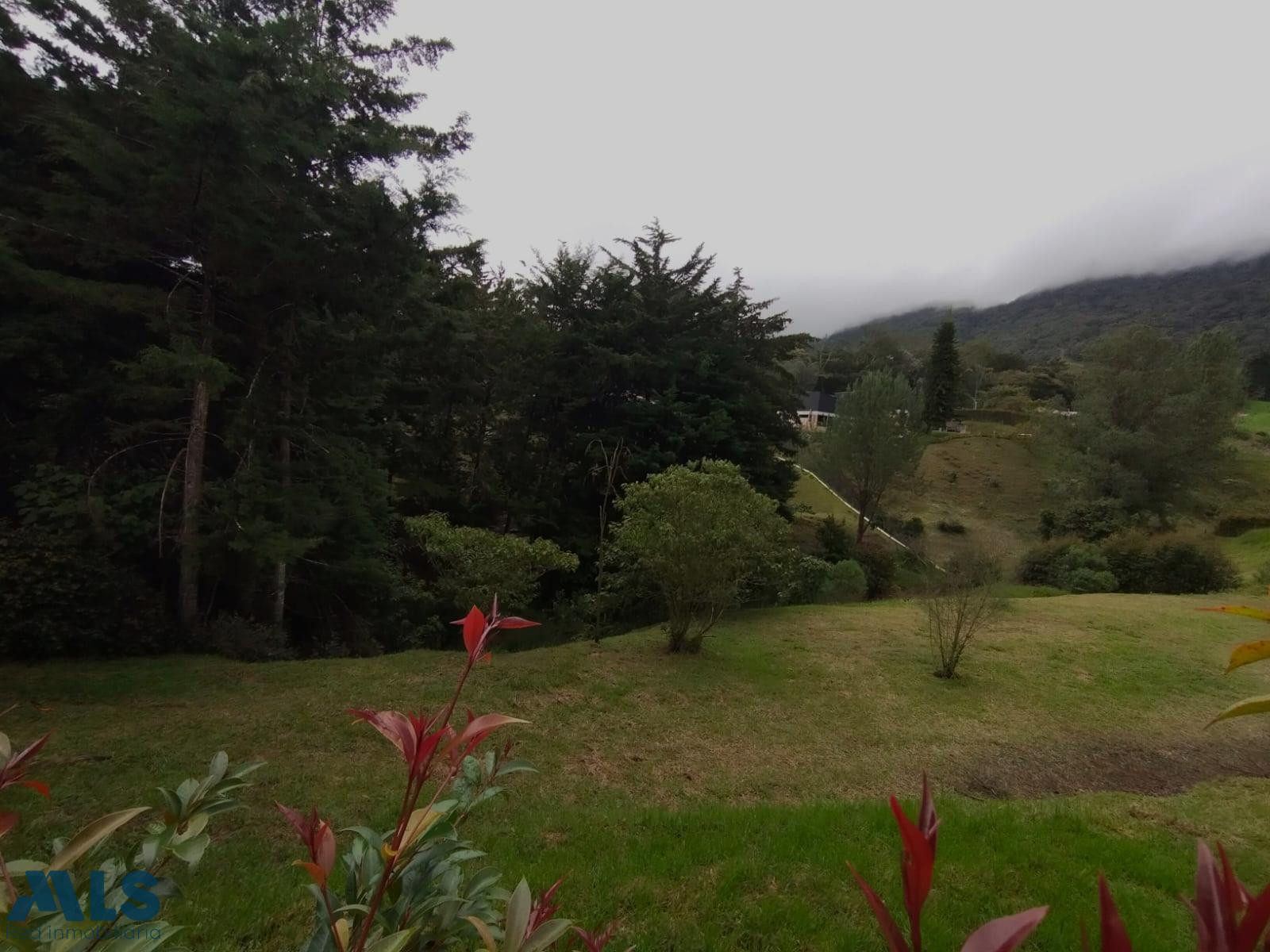 VENTA DE LOTE LA CEJA, ANTIOQUIA la-ceja - urbano la ceja