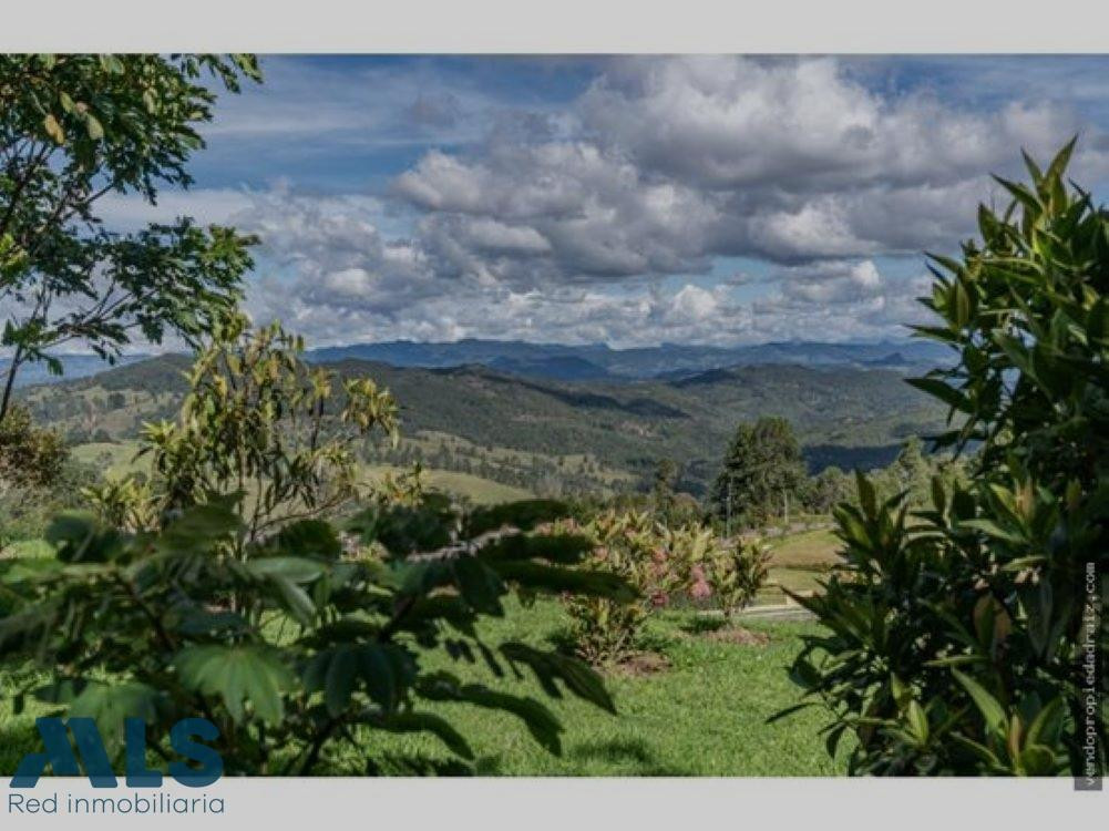 inmediata medellin - alto de las palmas
