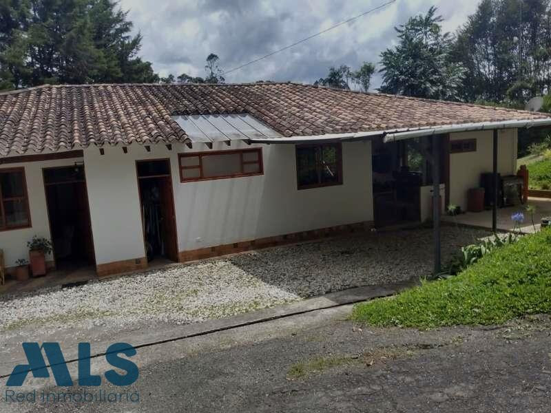 FINCA EN VENTA UBICADA EL CARMEN DE VIBORAL el-carmen - v quirama