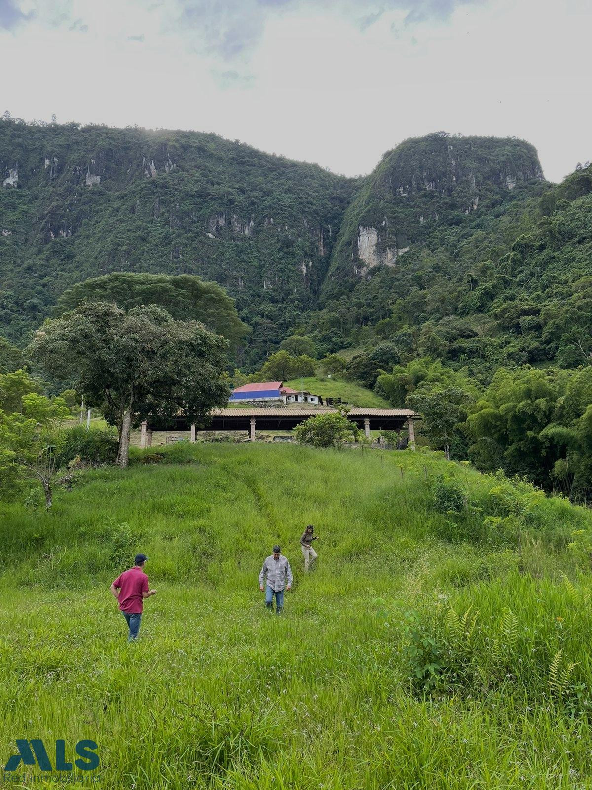 Finca recreativa, excelente para ganado tarso - cauca viejo