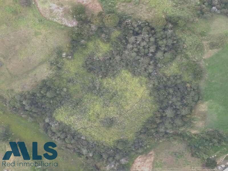 Lote en venta ubicado en Marinilla sector Vereda Gaviria marinilla - v gaviria