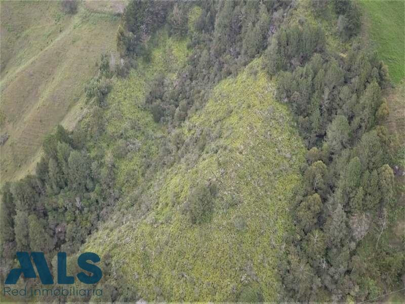 Lote en venta ubicado en Marinilla sector Vereda Gaviria marinilla - v gaviria