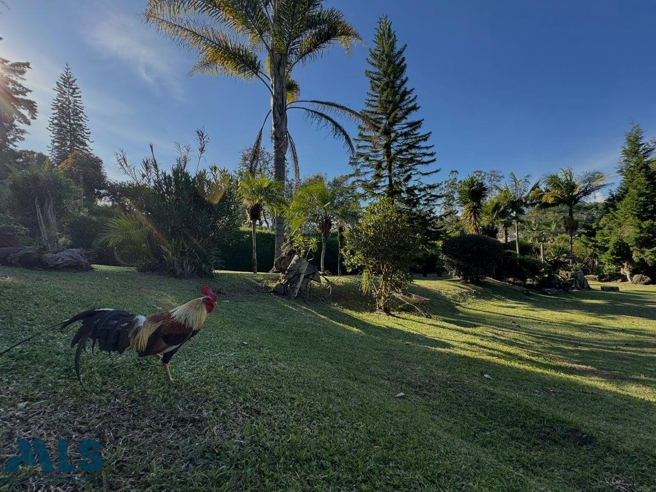 “Un paraíso natural a minutos de Medellín: ¡hazlo tuyo en Guarne!” guarne - v la mosquita guarne