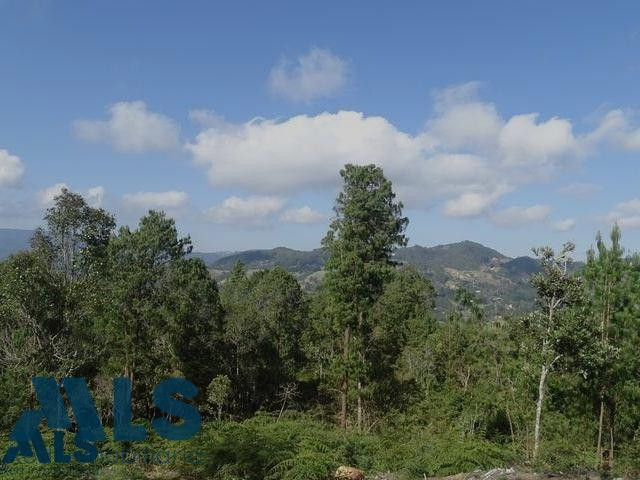 Espectacular lote en el retiro el-retiro - corredor la fe el retiro