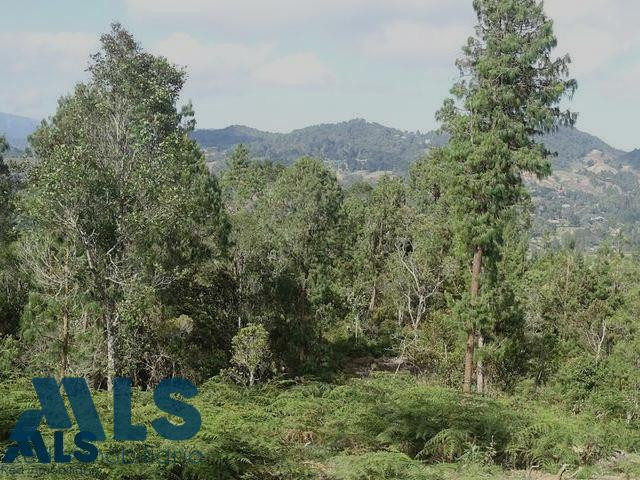 Espectacular lote en el retiro el-retiro - corredor la fe el retiro