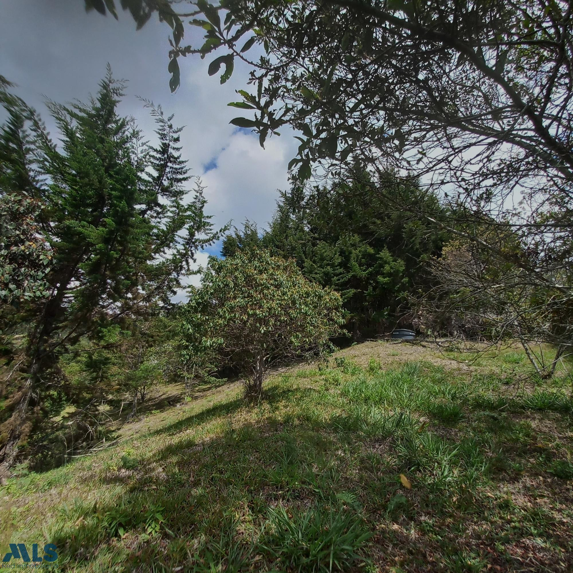 Lote en el Saladito de 10 mil metros cuadrados el-retiro - v el salado