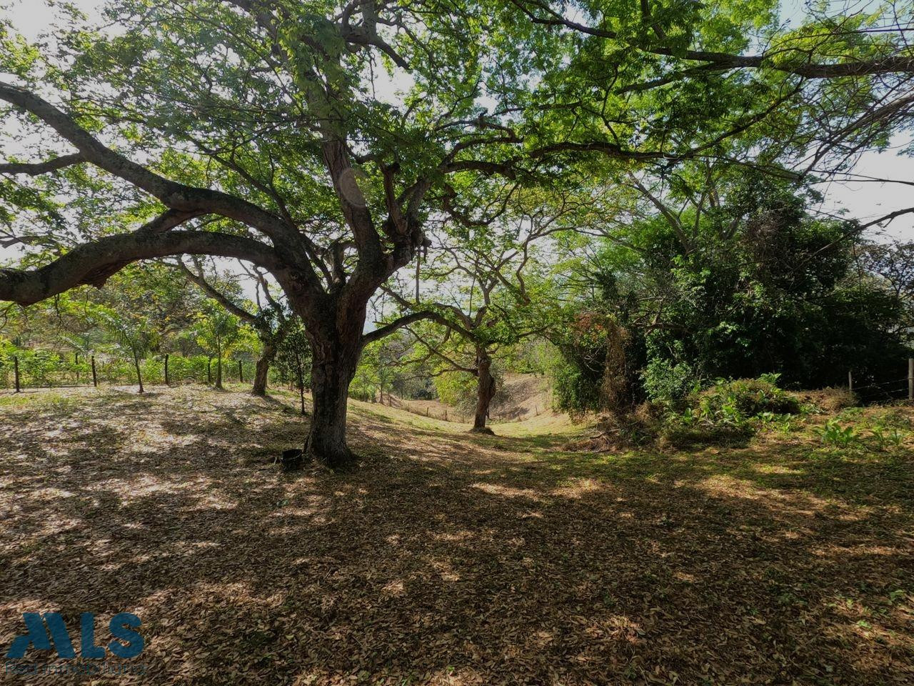 LOTE EN PARCELACION LA MEJOR UBICACION DE SOPETRAN sopetran - el palmar