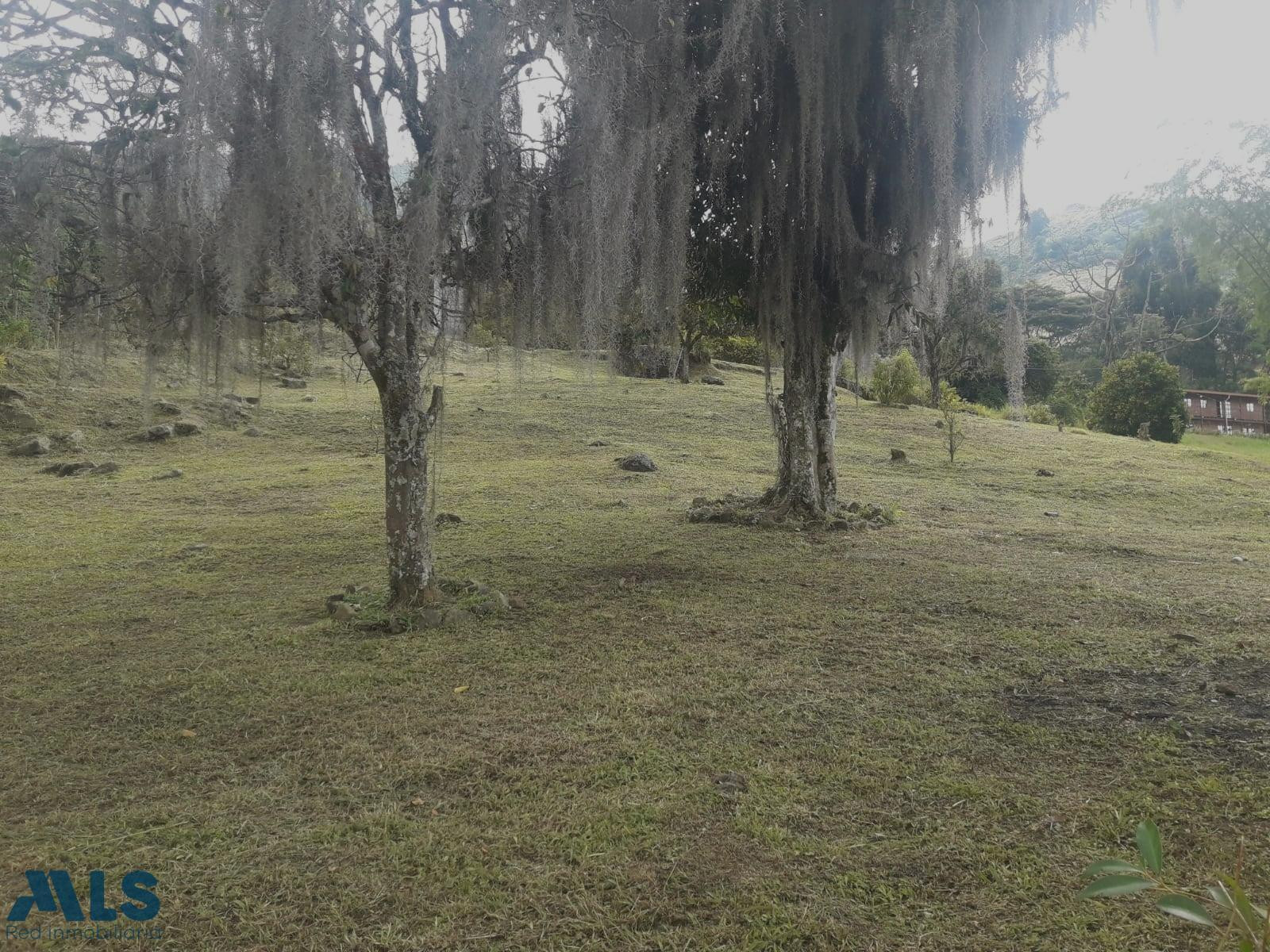 Se vende lote rural en Copacabana – Vereda Quebrada Arriba copacabana - v quebrada arriba