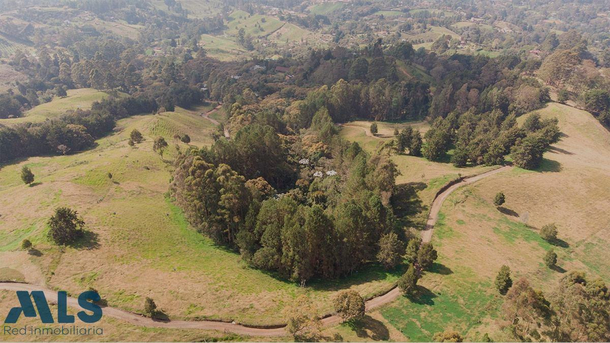 ¡Precio ganador! Lote con ubicación estratégica junto a Portería Palmas. rionegro - v el tablazo
