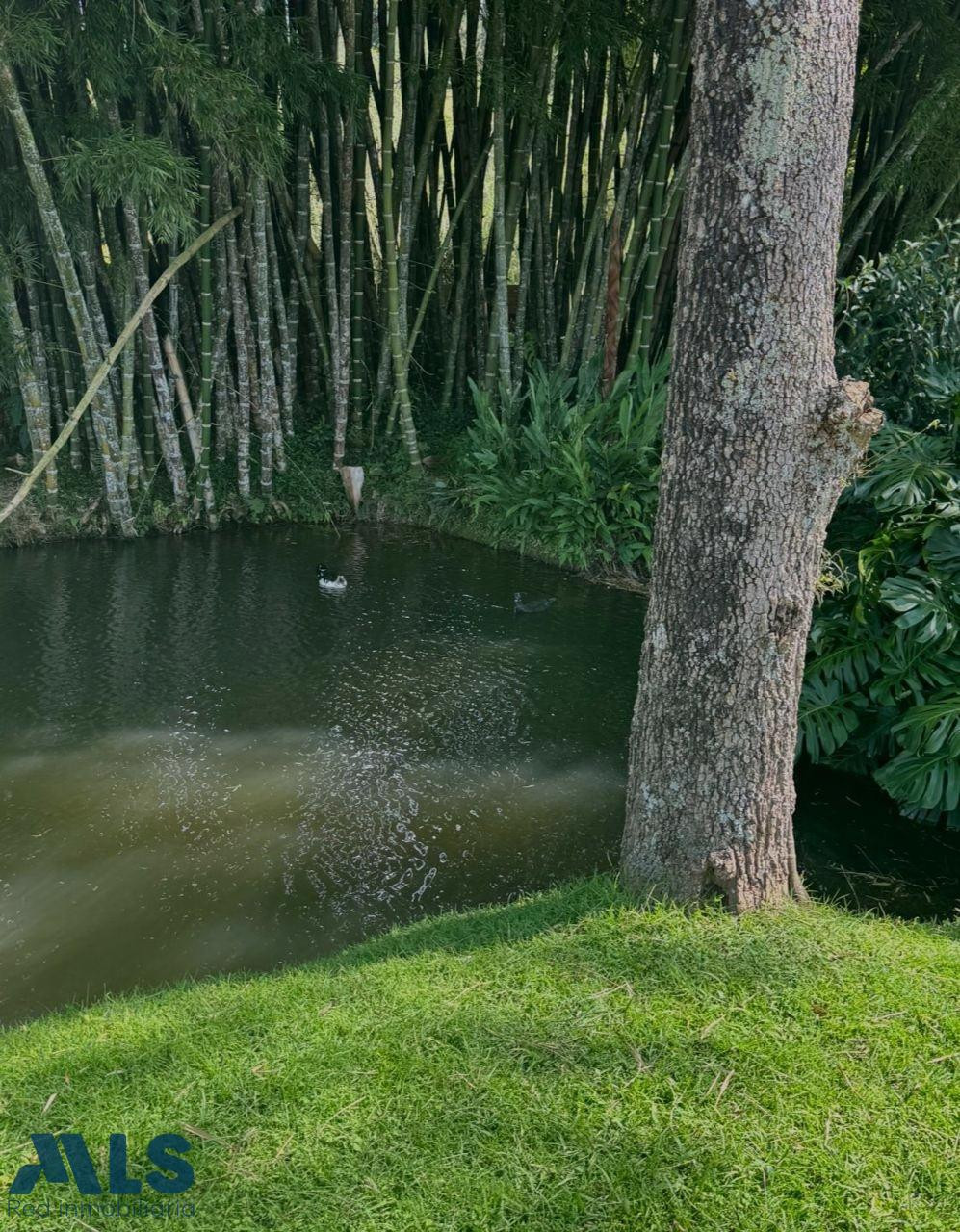 aguas claras el-carmen - v aguas claras