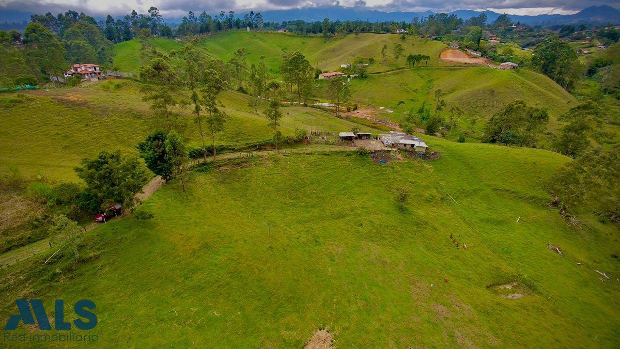 Venta lote Rionegro rionegro - v el rosal