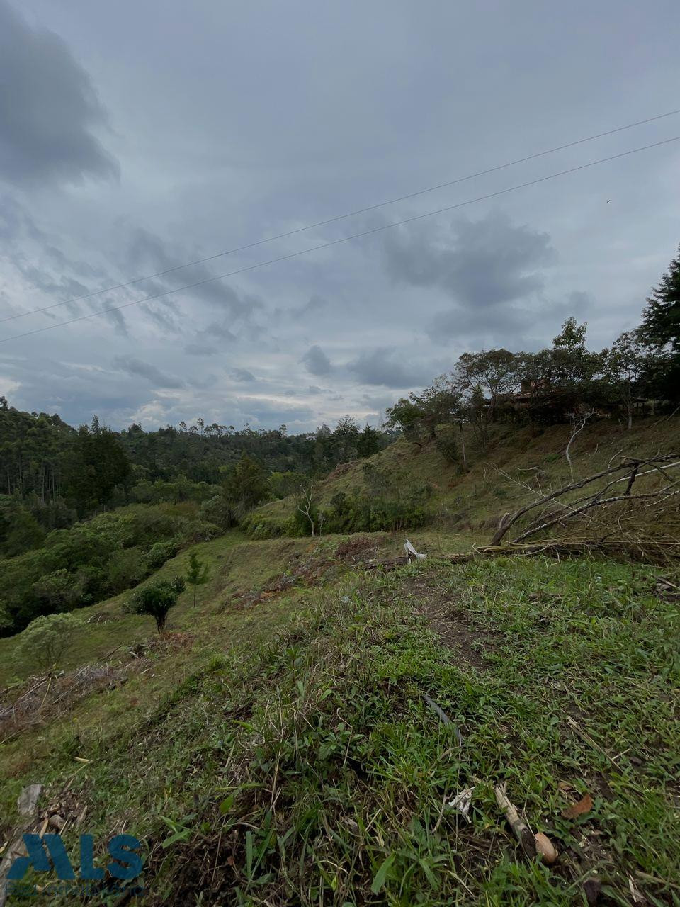 Lote independiente bien ubicada, con varias vías de acceso. rionegro - v abreito