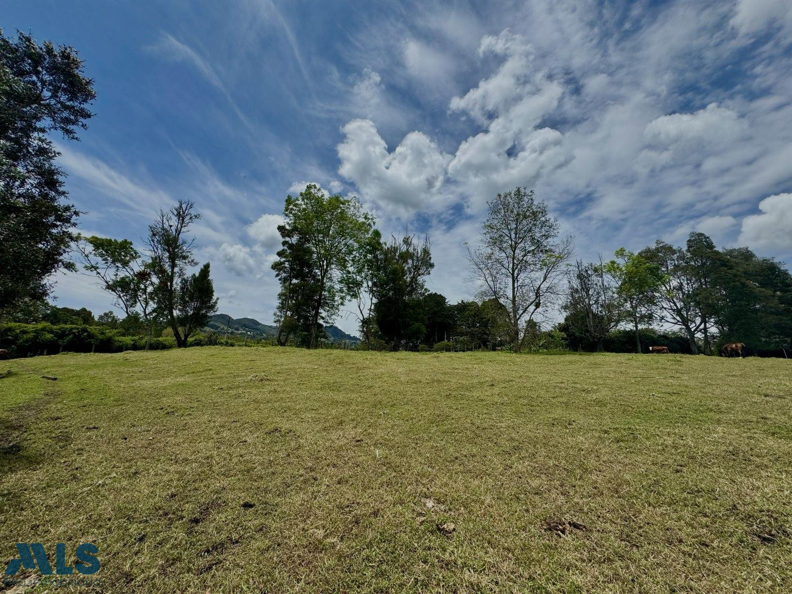 HERMOSO LOTE EN PARCELACION EN CABECERAS. rionegro - cabeceras