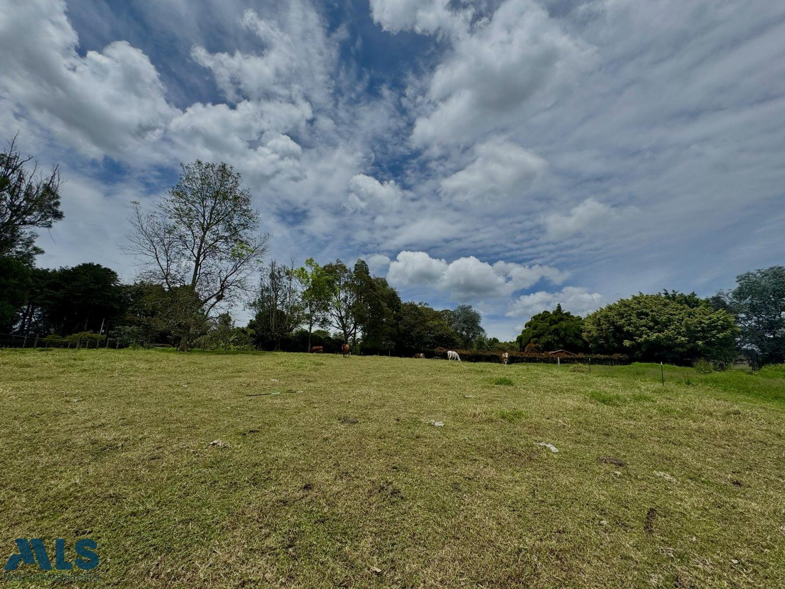 HERMOSO LOTE EN PARCELACION EN CABECERAS. rionegro - cabeceras