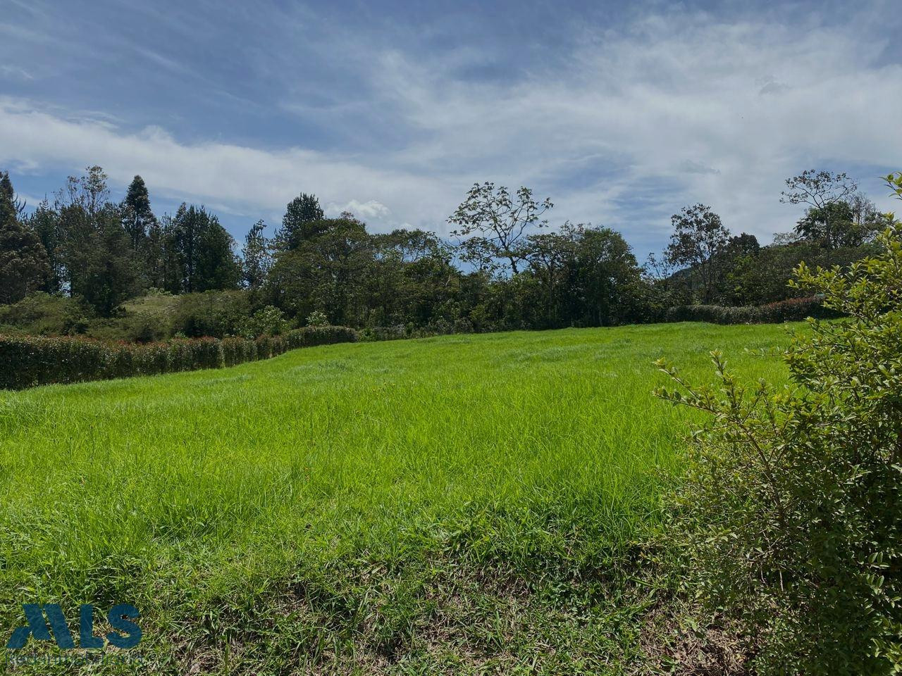 HERMOSO LOTE EN PARCELACION, LA CEJA, V. SAN MIGUEL la-ceja - v san miguel