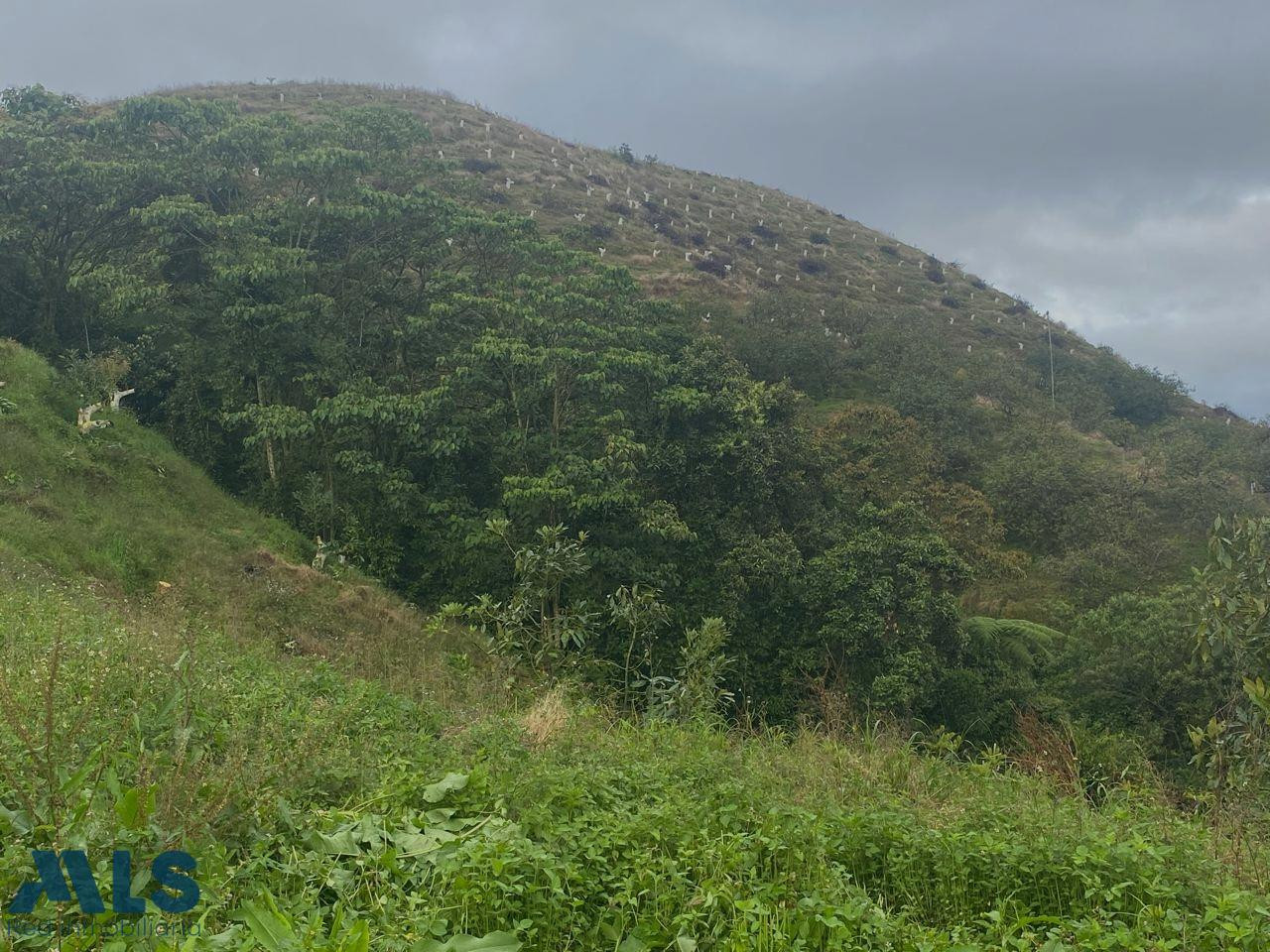 Hermosa finca productiva en Jardín Antioquia jardin - quebrada bonita