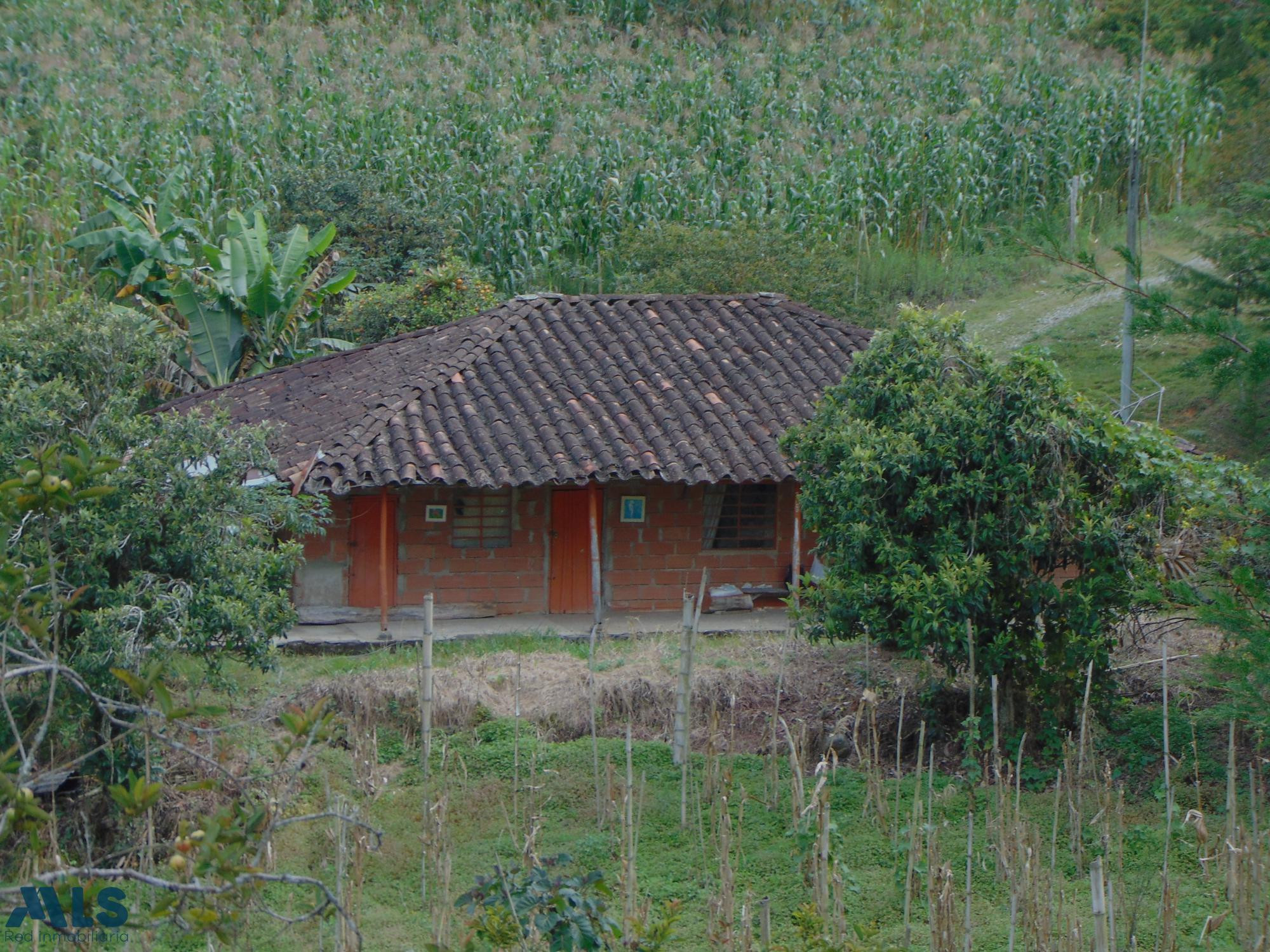 Finca en venta en Marinilla, sector Salto Arriba. marinilla - cascajo arriba