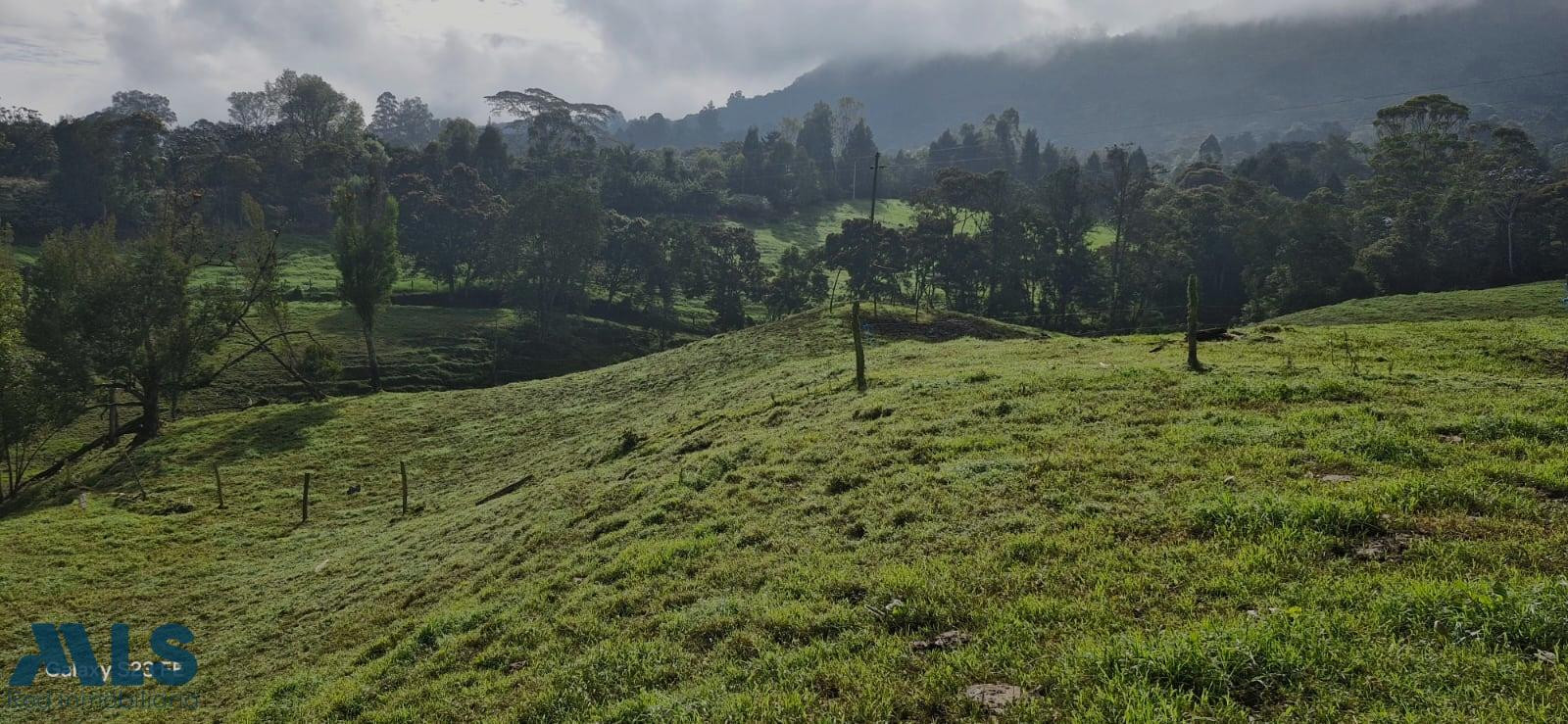 Lote Independiente para venta en Rionegro rionegro - cabeceras