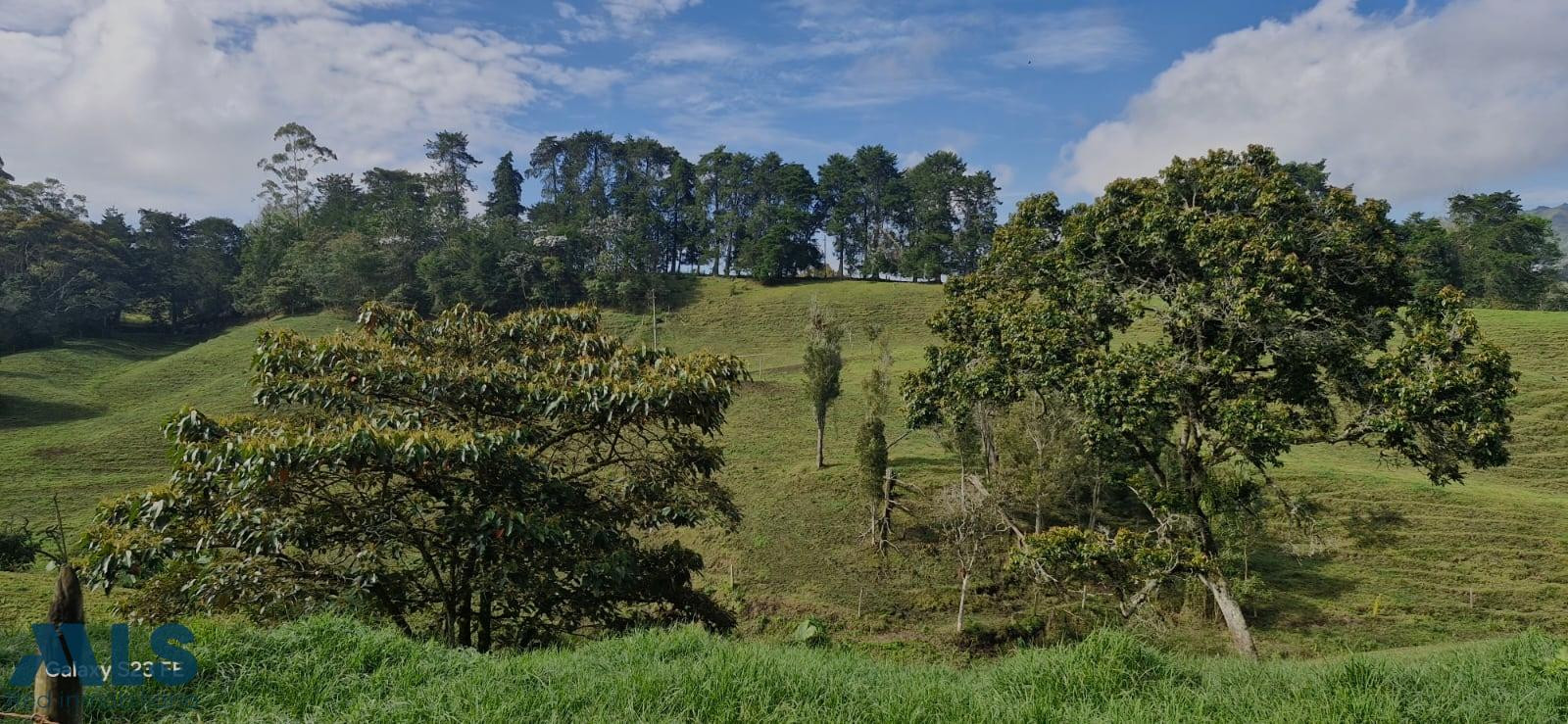 Lote Independiente para venta en Rionegro rionegro - cabeceras
