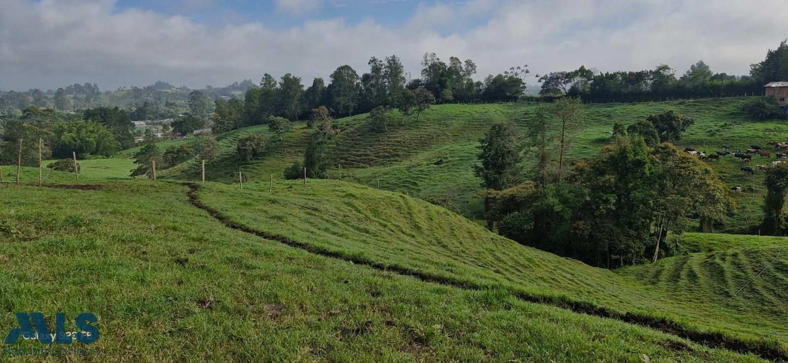 Lote Independiente para venta en Rionegro rionegro - cabeceras