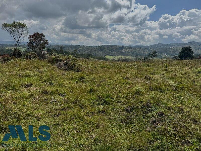 Lote en venta ubicado en San Vicente sector Las Ovejas san-vicente - rural