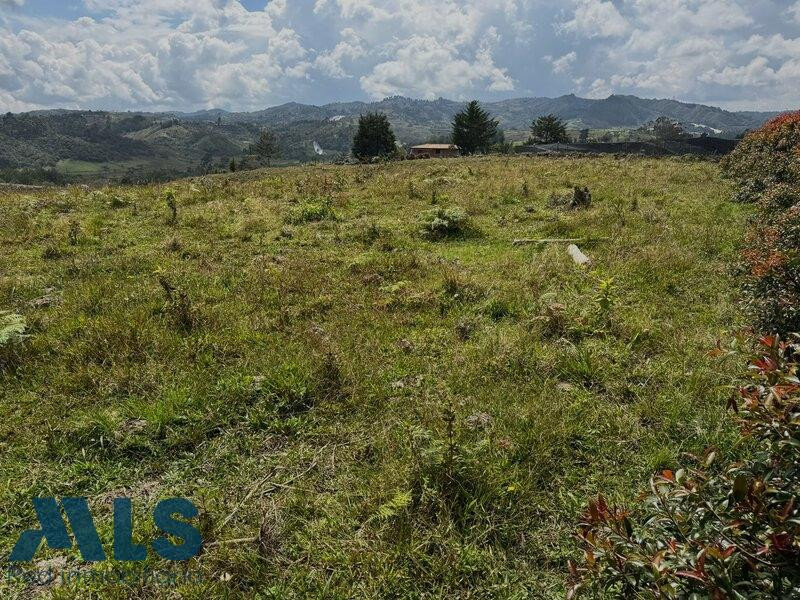 Lote en venta ubicado en San Vicente sector Las Ovejas san-vicente - rural