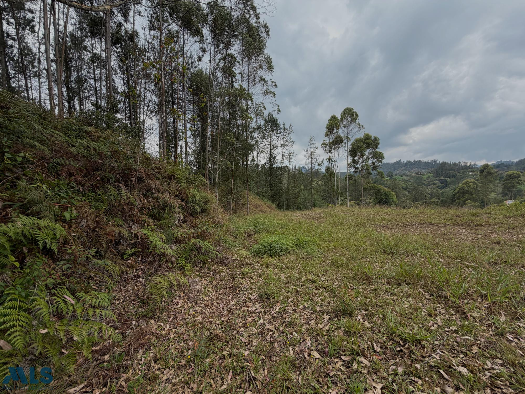 LOTE DE ENCANTO EN DON DIEGO la-ceja - corredor la ceja el retiro