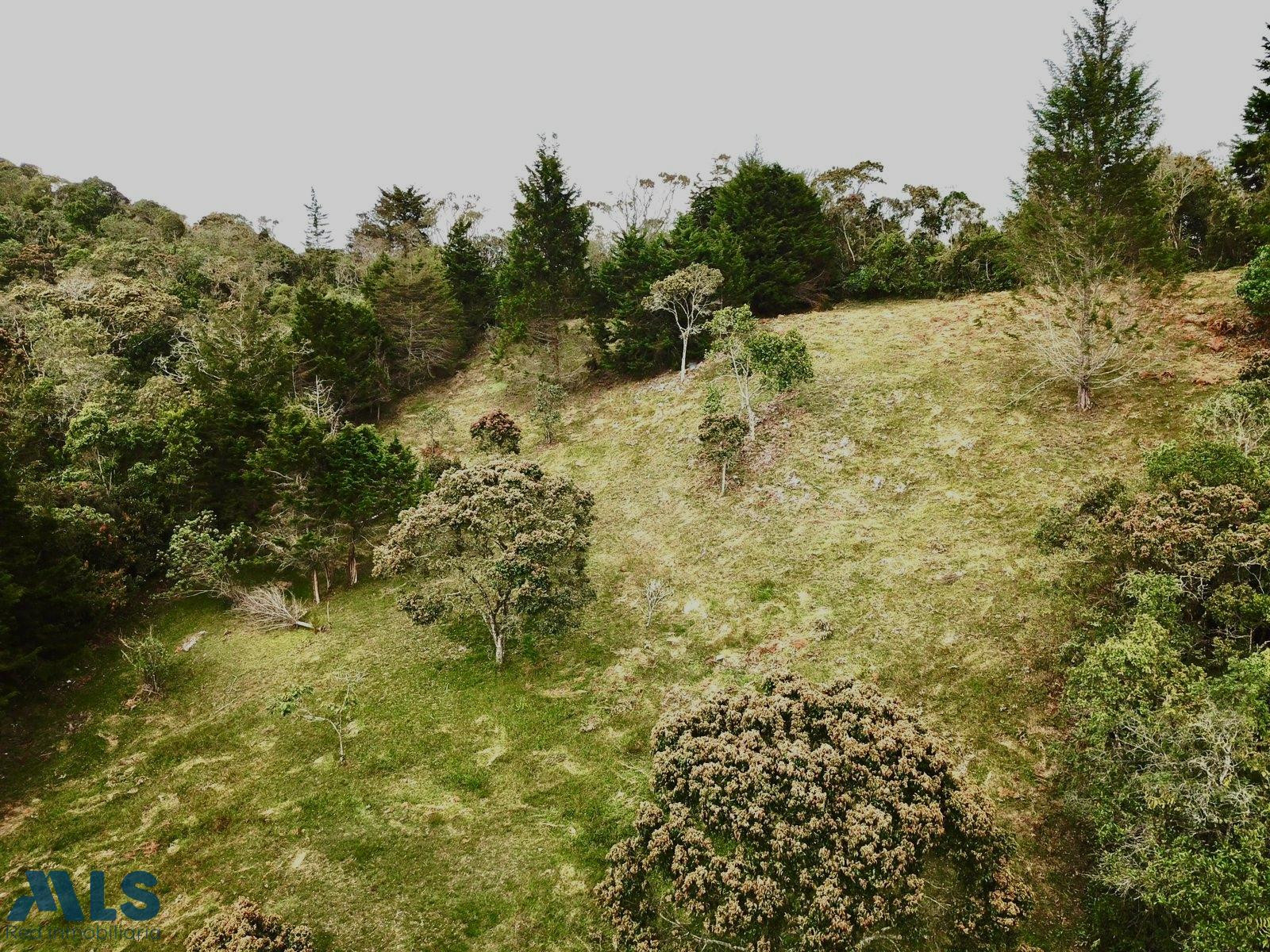 LOTE EN VENTA VEREDA ALTO DE LA VIRGEN GUARNE guarne - autopista guarne