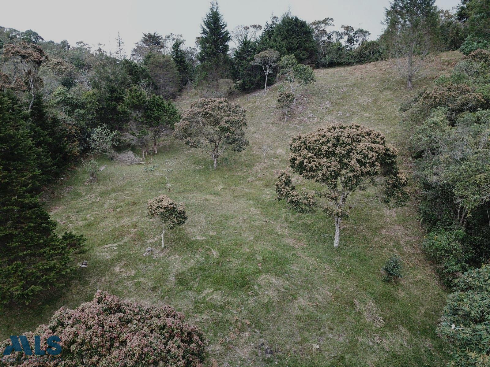 LOTE EN VENTA VEREDA ALTO DE LA VIRGEN GUARNE guarne - autopista guarne